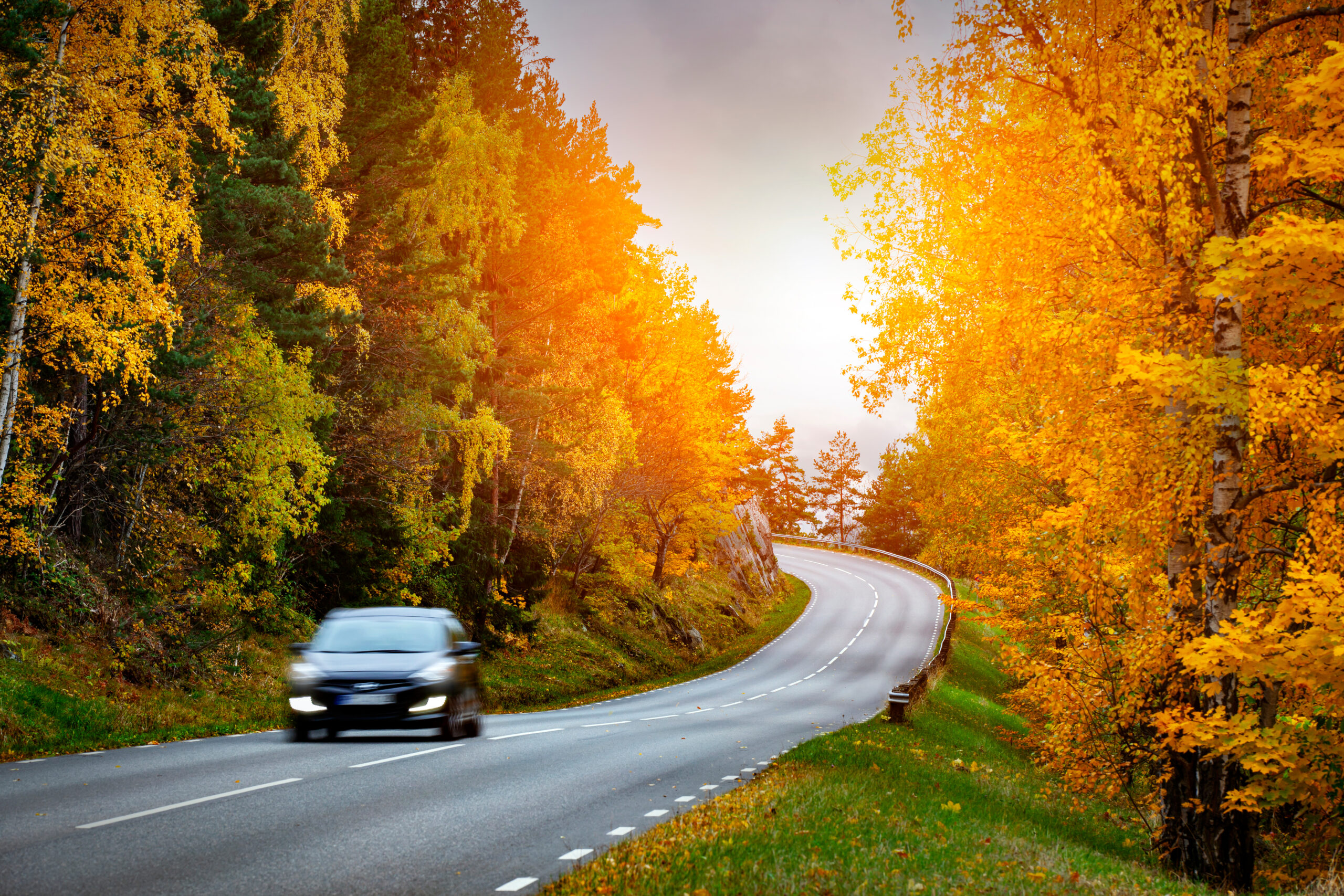 car driving on road in autumn