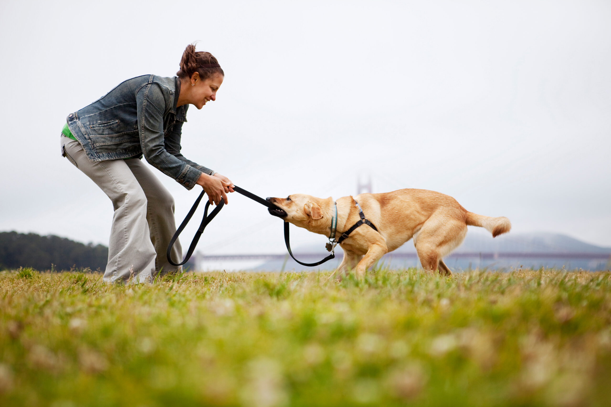 Woman playing with dog on grassy field at Golden Gate Park